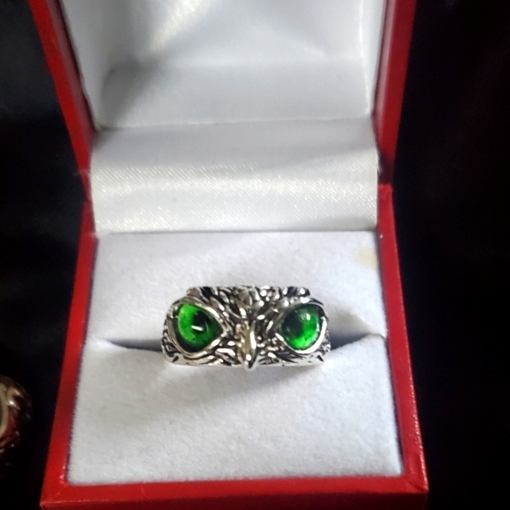 Owl Eye Band Ring Stainless Steel 3D